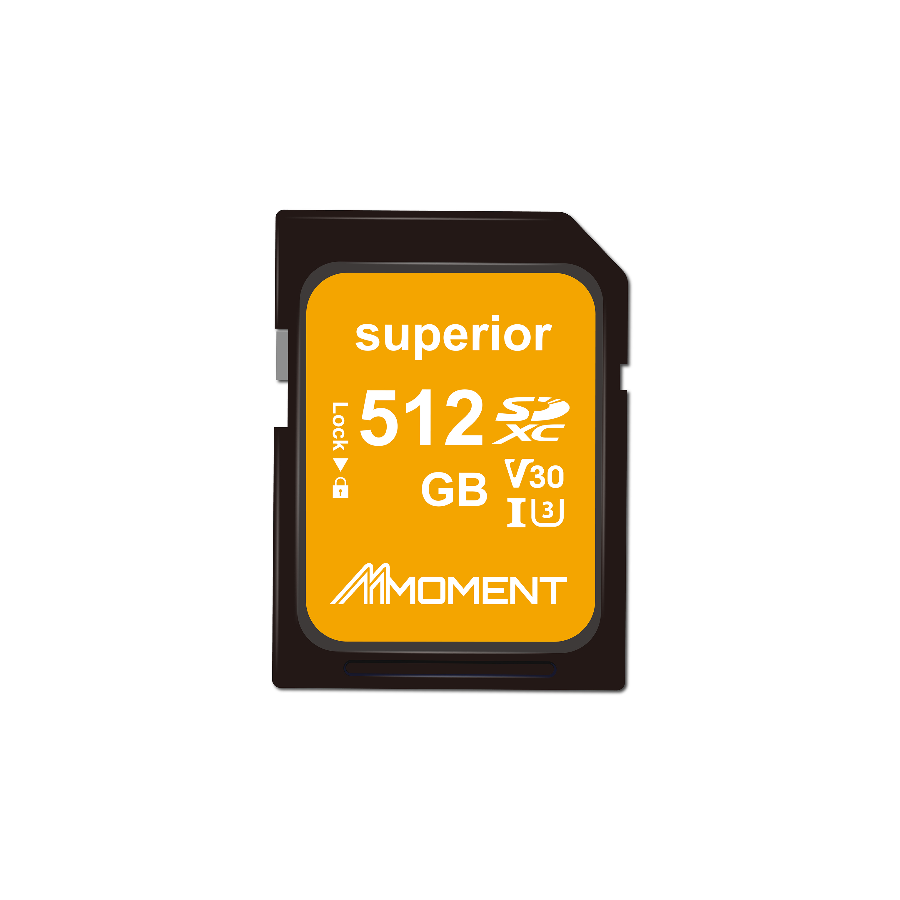 Moment MM13 A1V30 SD Flash Memory Card